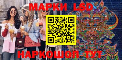 гидра Будённовск