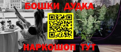 гидра Будённовск