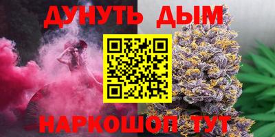 гидра Будённовск