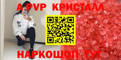 гидра Будённовск