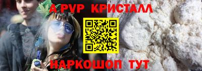 гидра Будённовск